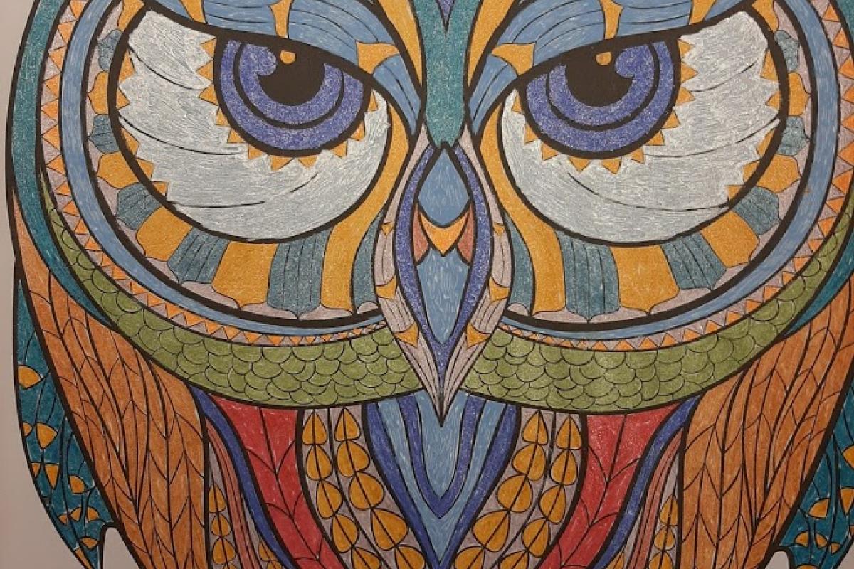 Owl coloring project